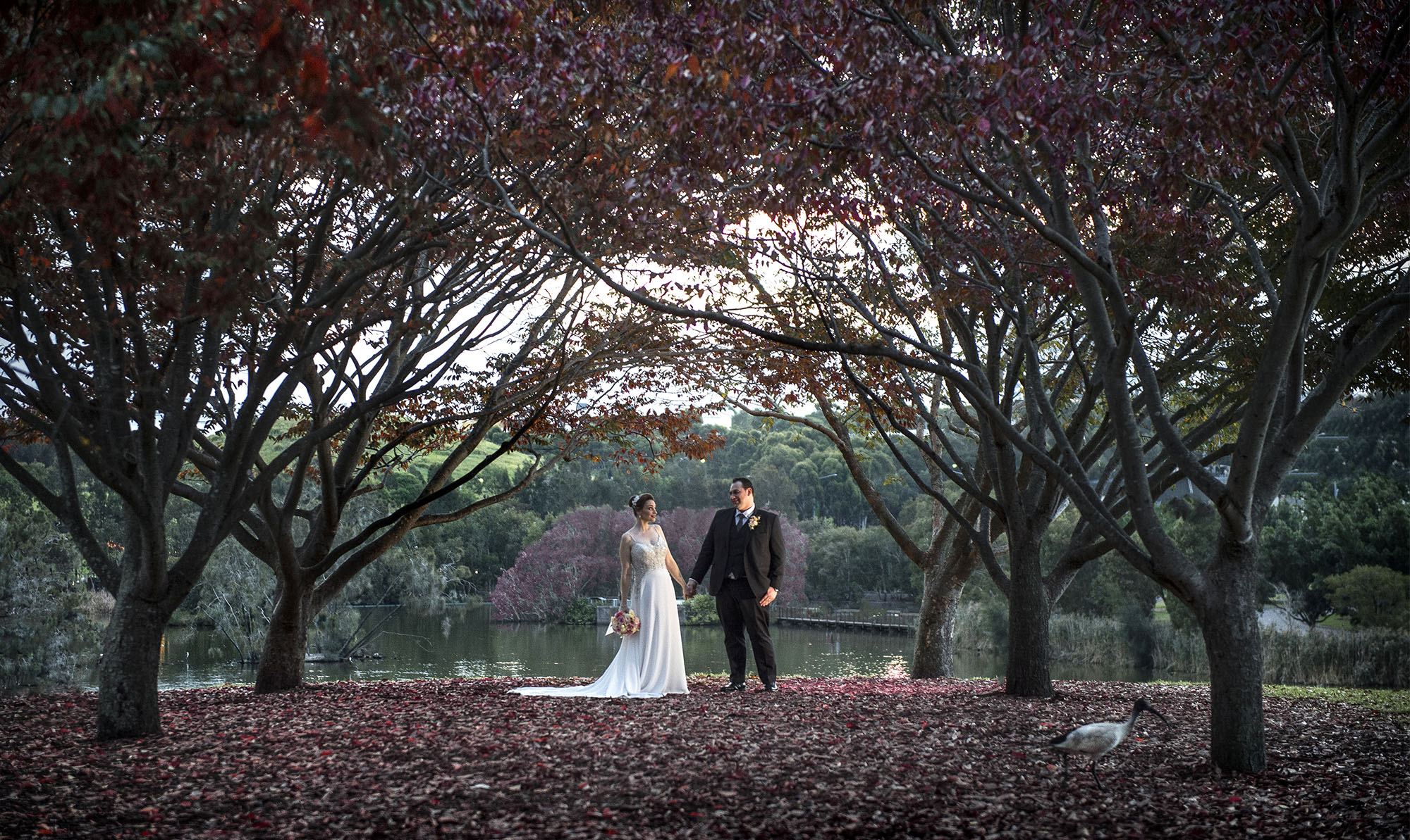 waters edge sydney wedding